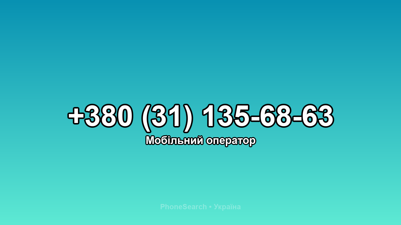 Номер +380 (31) 135-68-63 - вариант 1