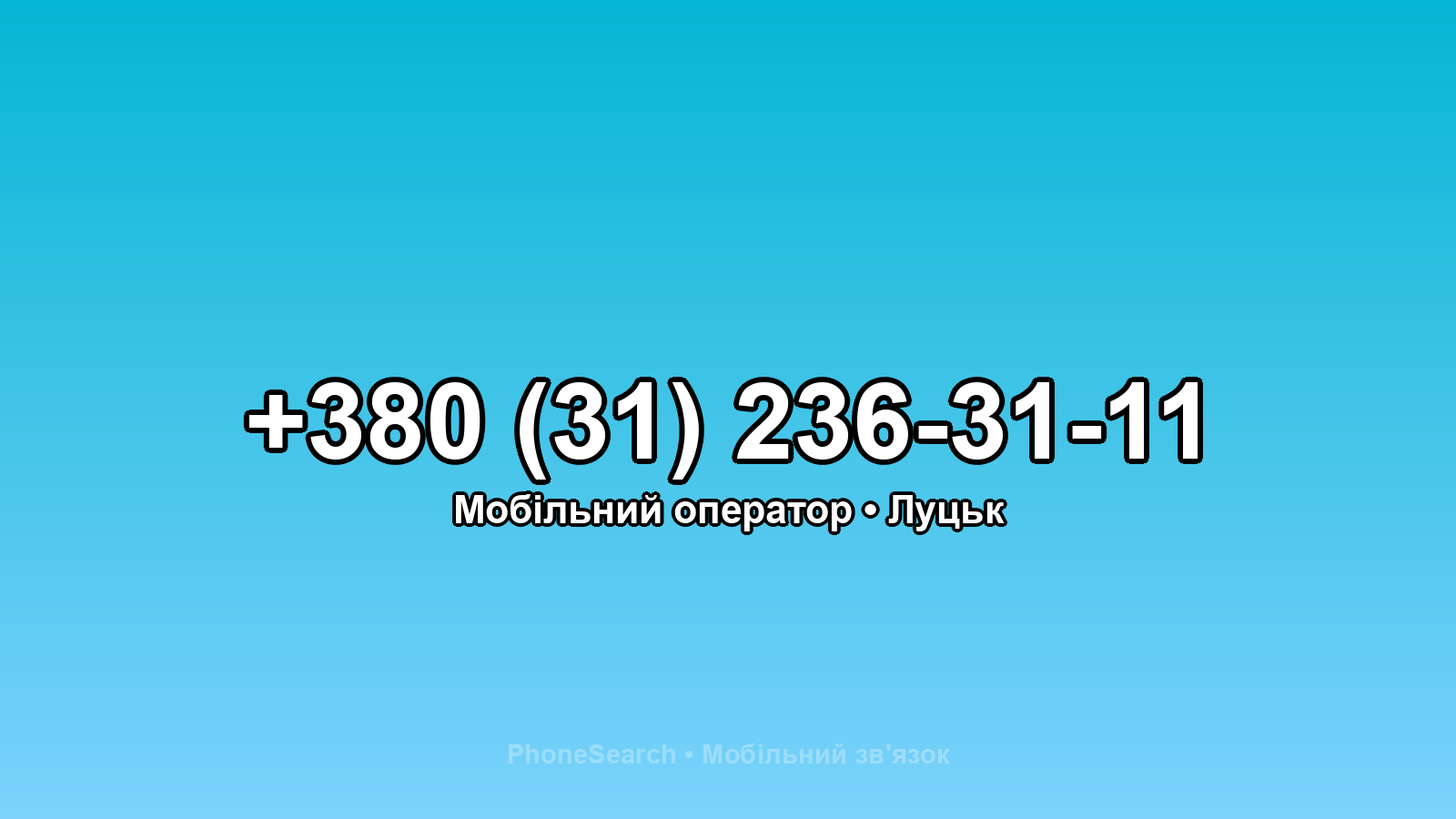 Номер +380 (31) 236-31-11 - вариант 1