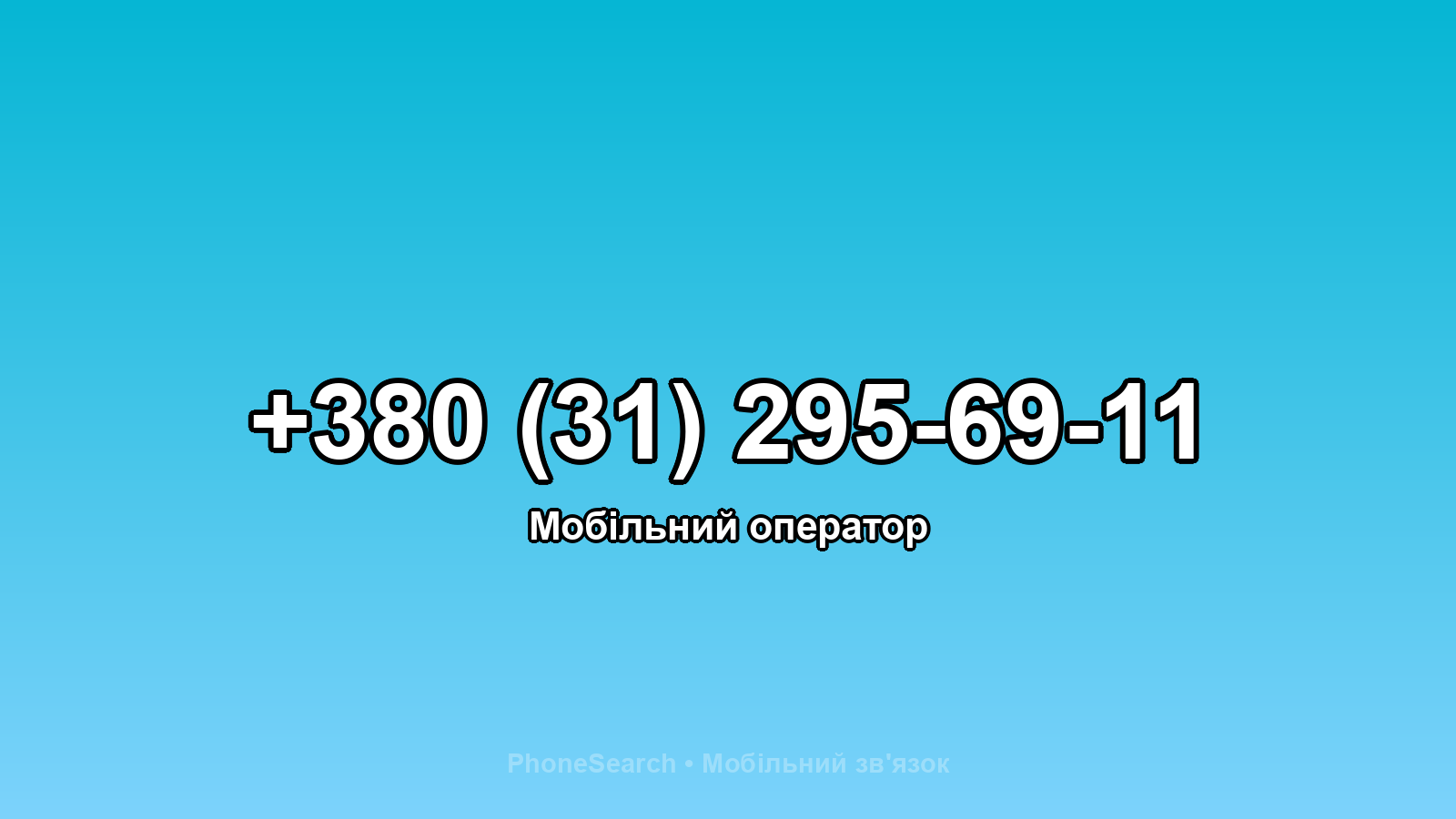 Номер +380 (31) 295-69-11 - вариант 1