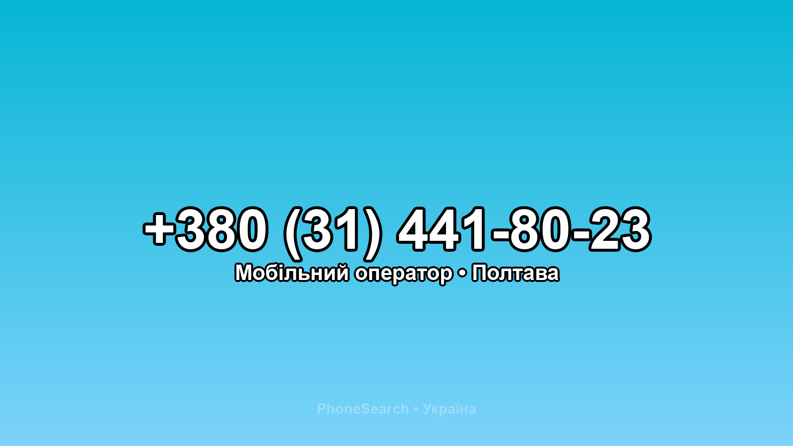 Номер +380 (31) 441-80-23 - вариант 2