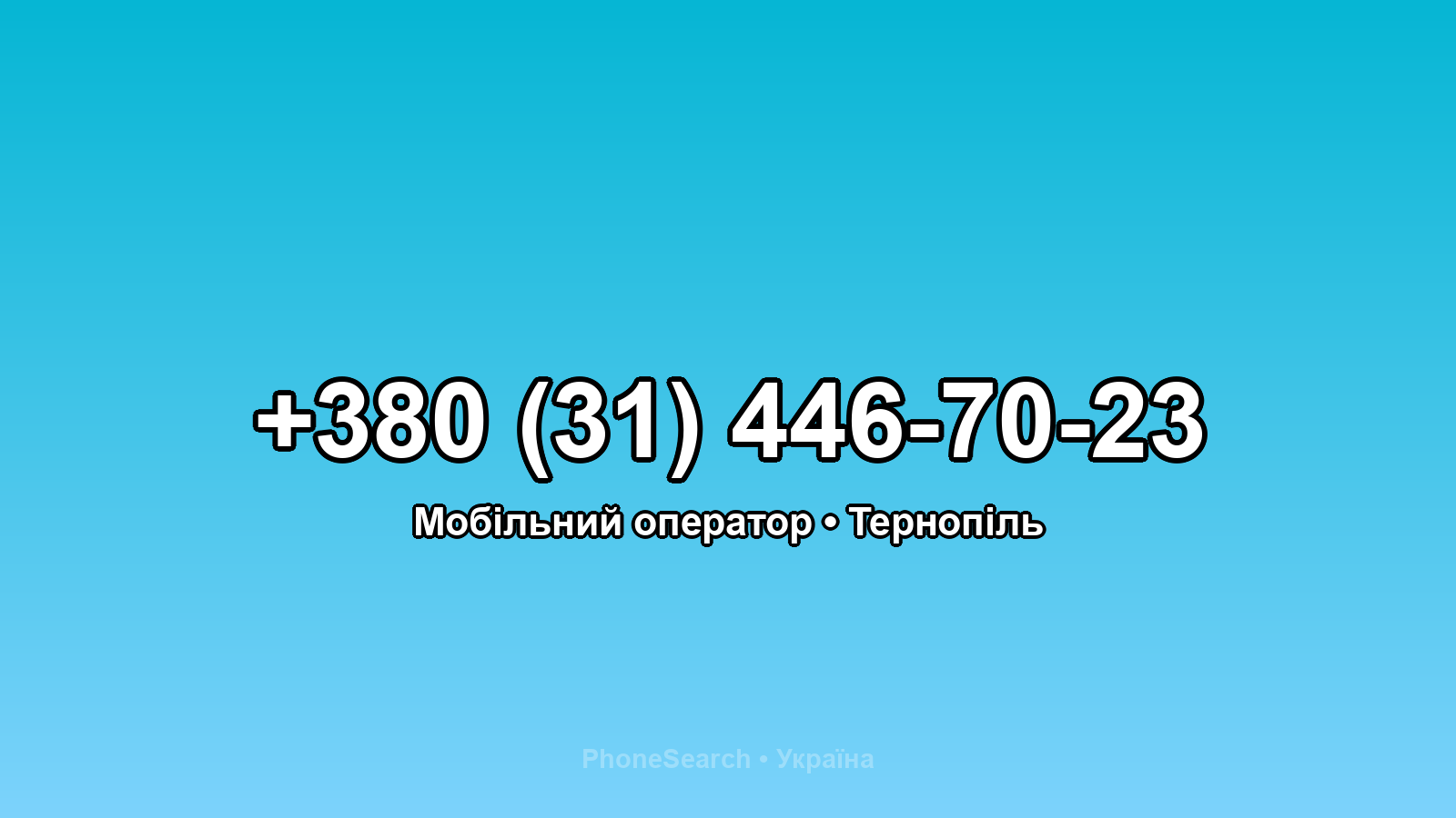Номер +380 (31) 446-70-23 - вариант 2