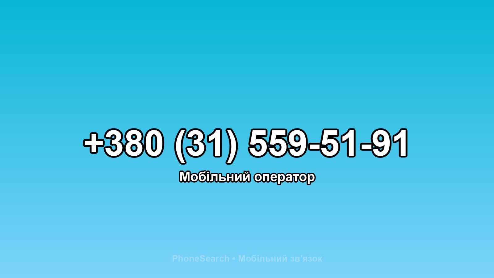 Номер +380 (31) 559-51-91 - вариант 2