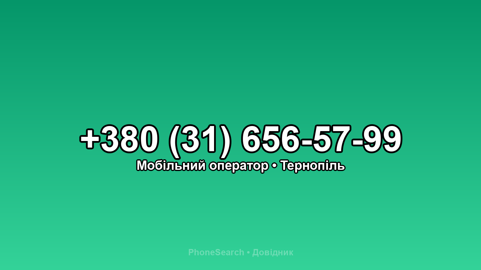 Номер +380 (31) 656-57-99 - вариант 1