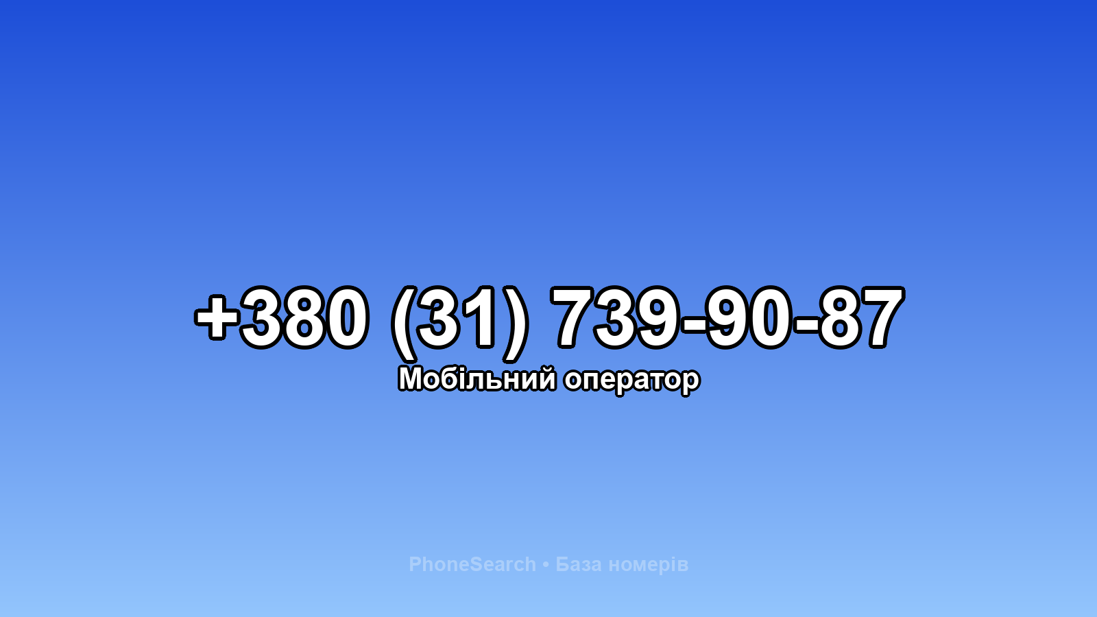 Номер +380 (31) 739-90-87 - вариант 1