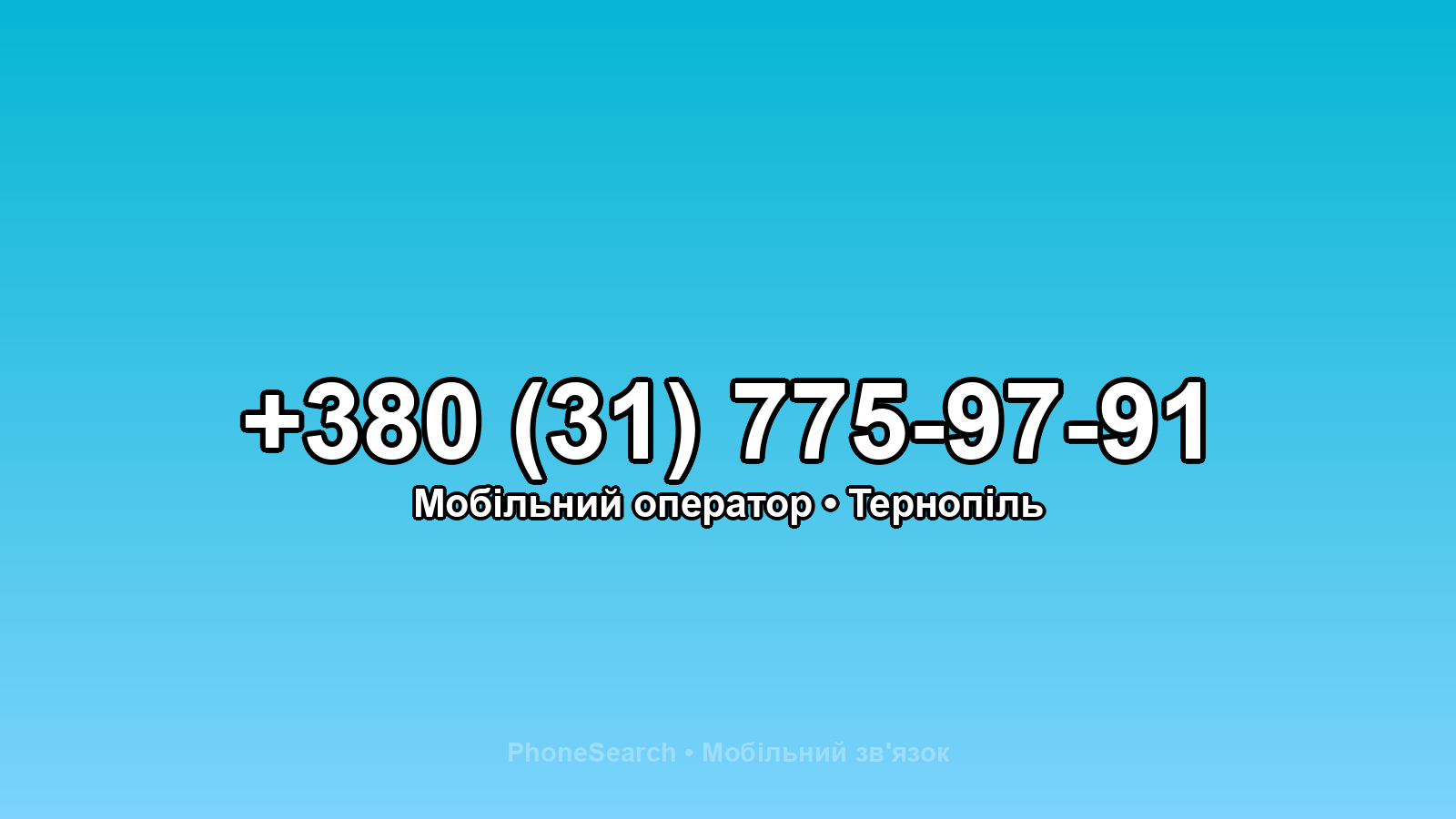 Номер +380 (31) 775-97-91 - вариант 2