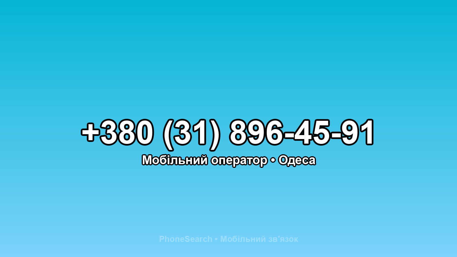 Номер +380 (31) 896-45-91 - вариант 2