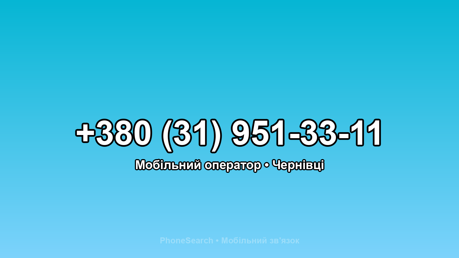 Номер +380 (31) 951-33-11 - вариант 1