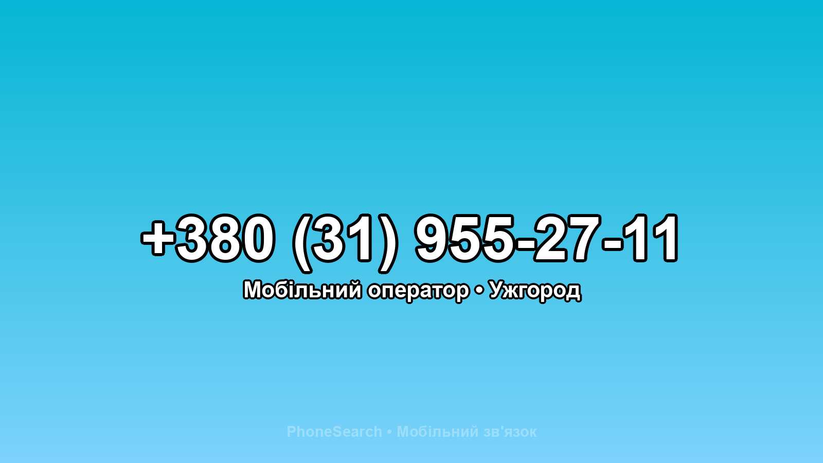 Номер +380 (31) 955-27-11 - вариант 1