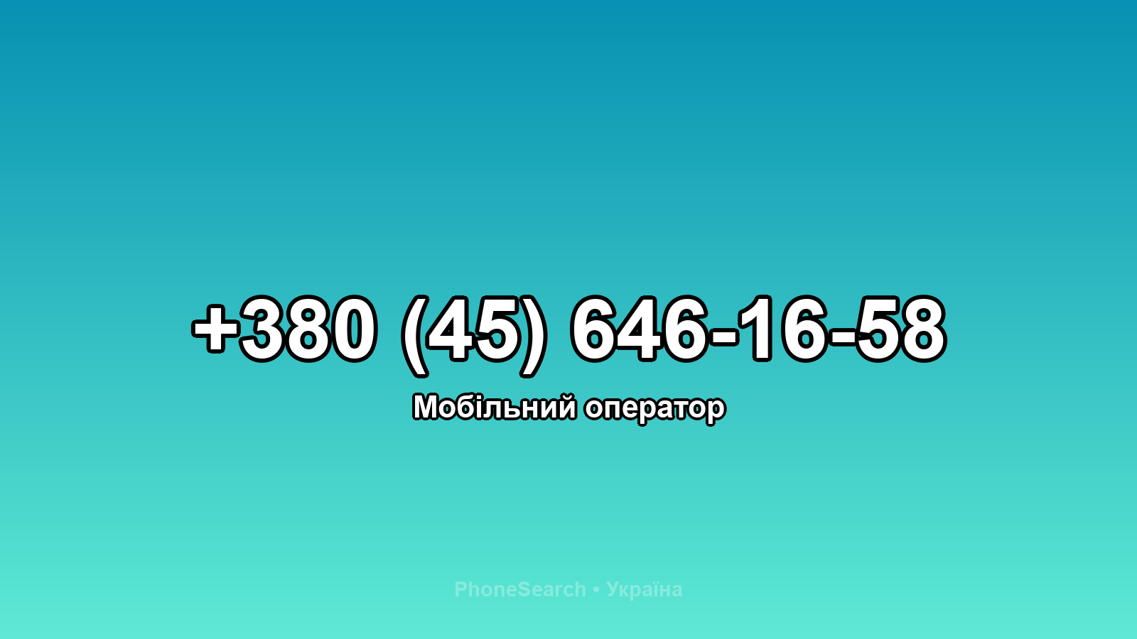Номер +380 (45) 646-16-58 - вариант 2