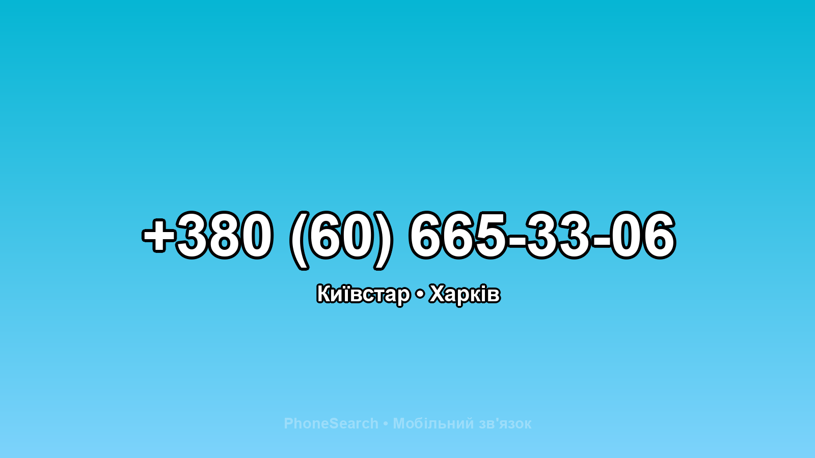 Номер +380 (60) 665-33-06 - вариант 2