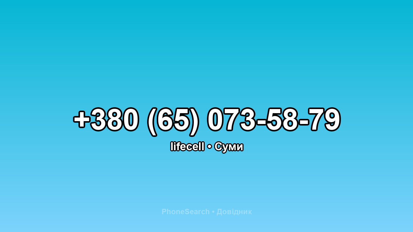 Номер +380 (65) 073-58-79 - вариант 1