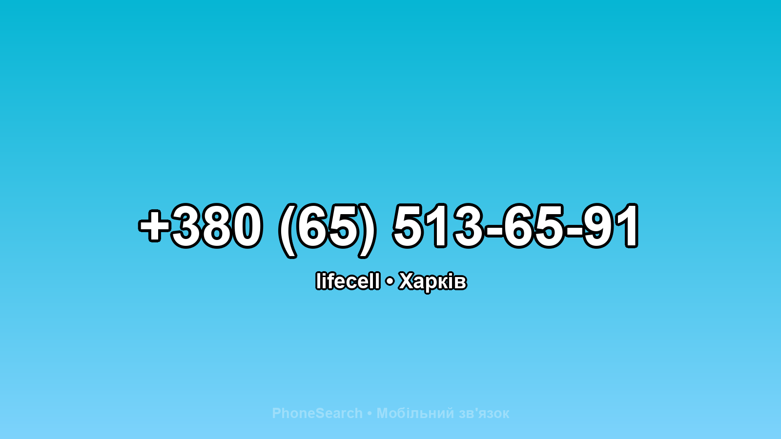 Номер +380 (65) 513-65-91 - вариант 2