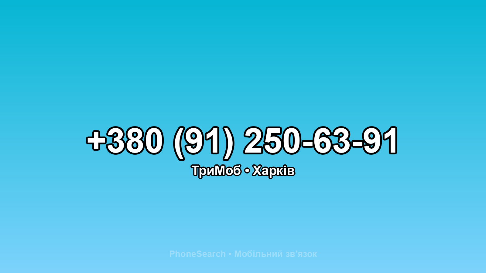 Номер +380 (91) 250-63-91 - вариант 2
