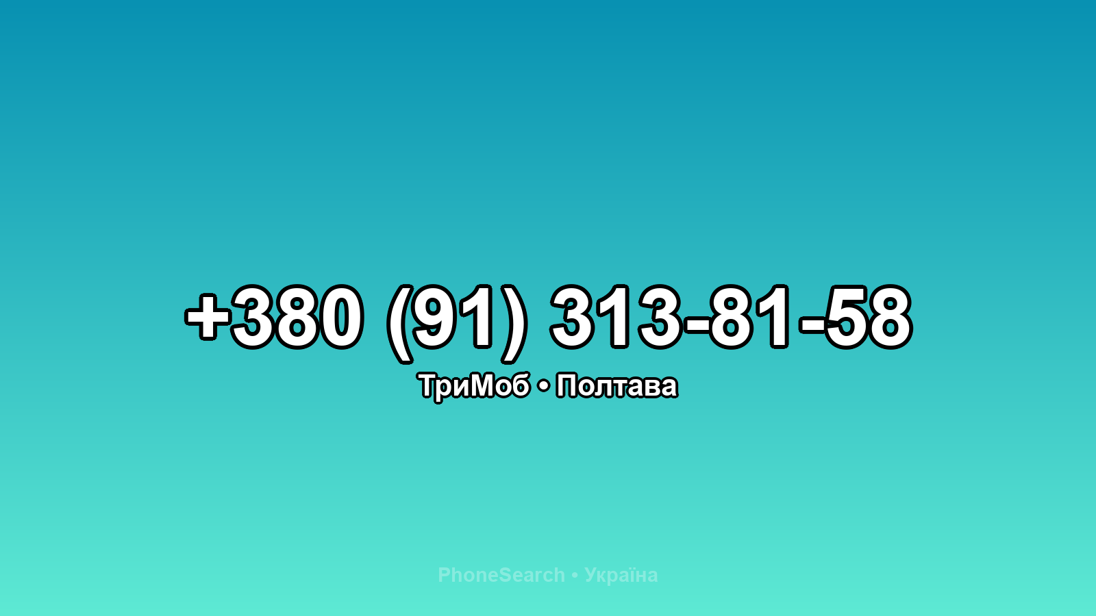 Номер +380 (91) 313-81-58 - вариант 2