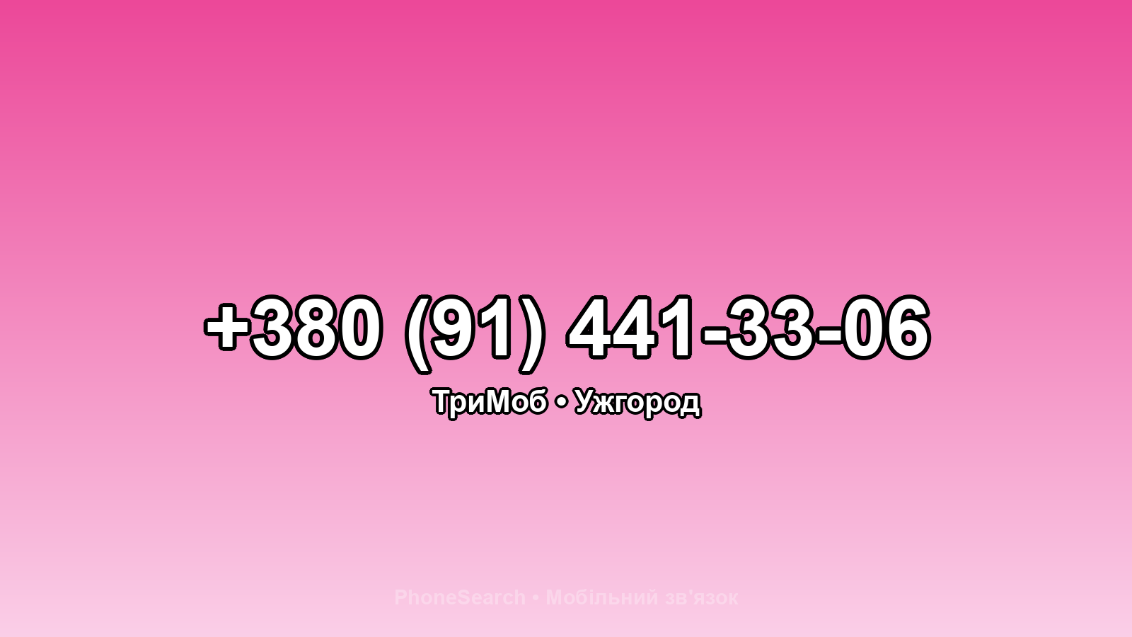Номер +380 (91) 441-33-06 - вариант 1