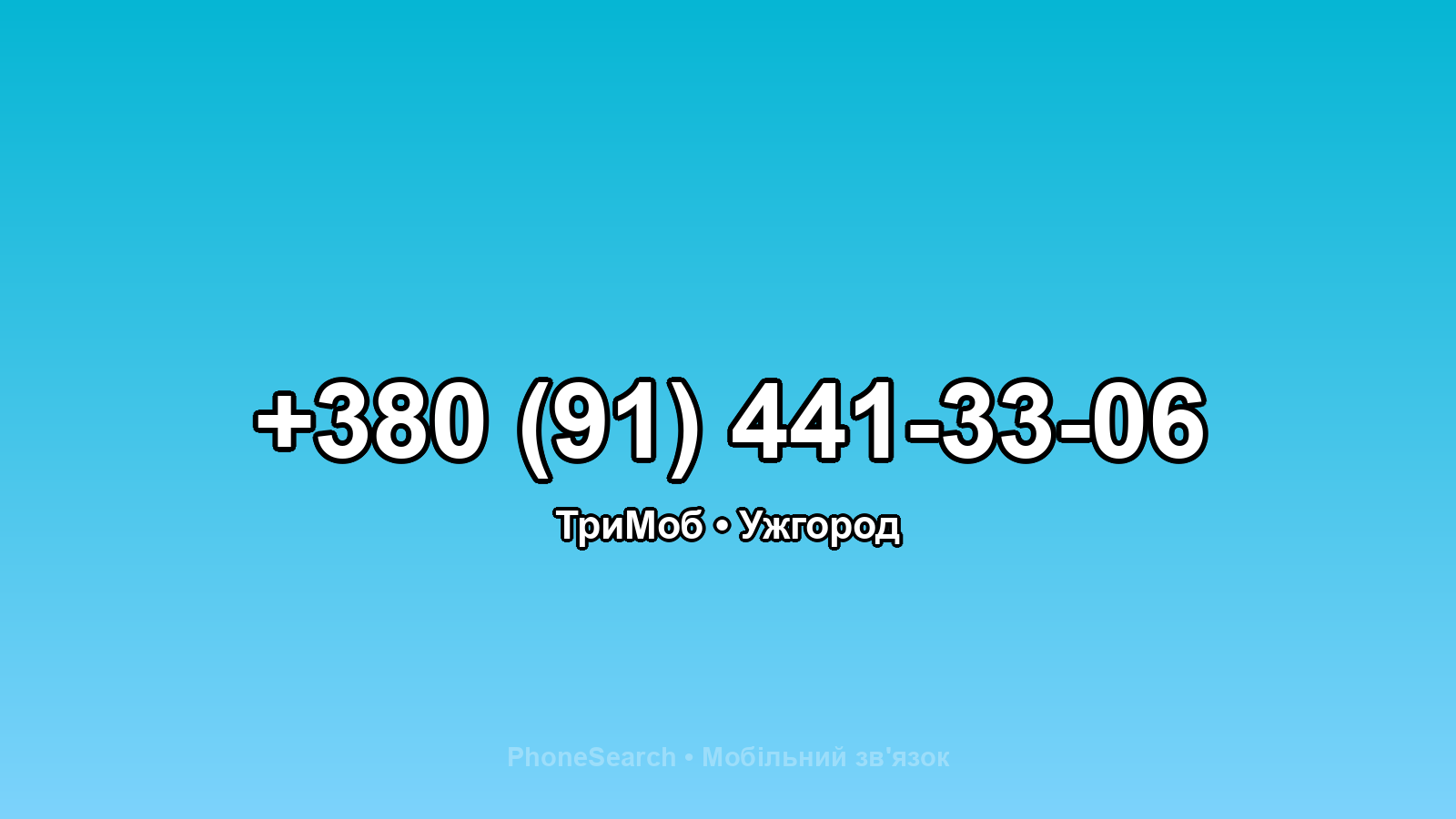 Номер +380 (91) 441-33-06 - вариант 2