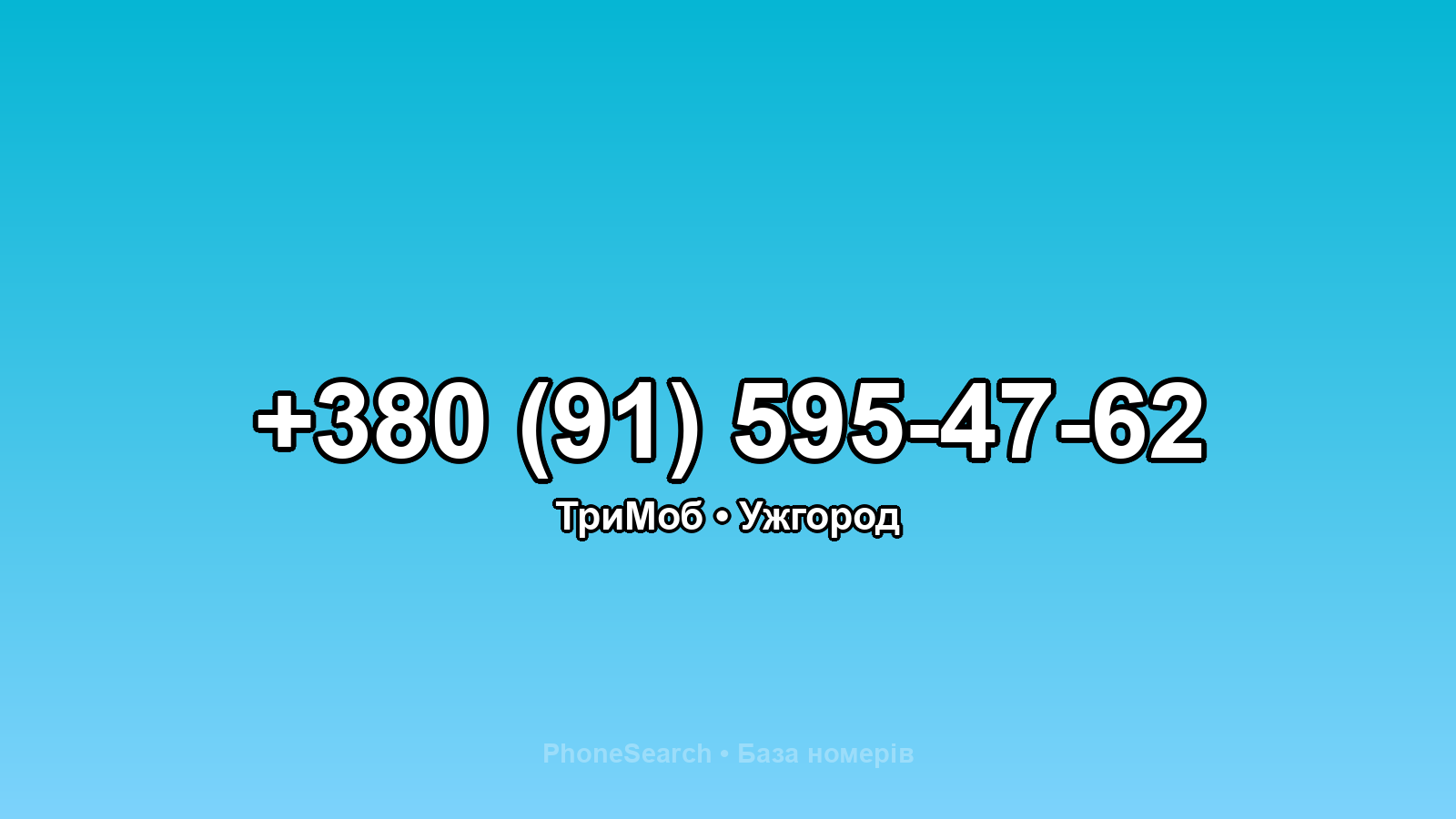 Номер +380 (91) 595-47-62 - вариант 1