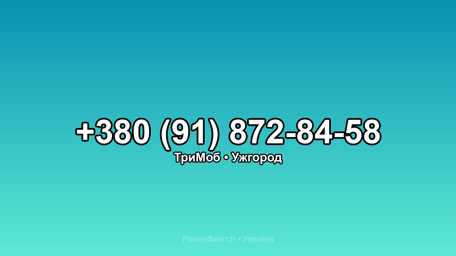 Номер +380 (91) 872-84-58 - вариант 2