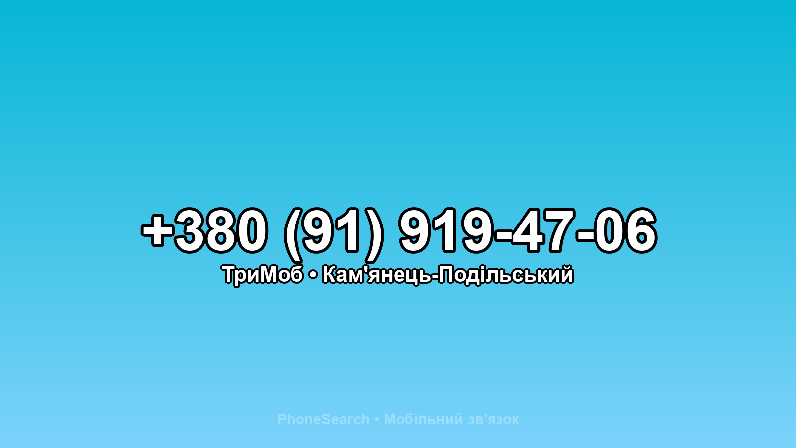 Номер +380 (91) 919-47-06 - вариант 2