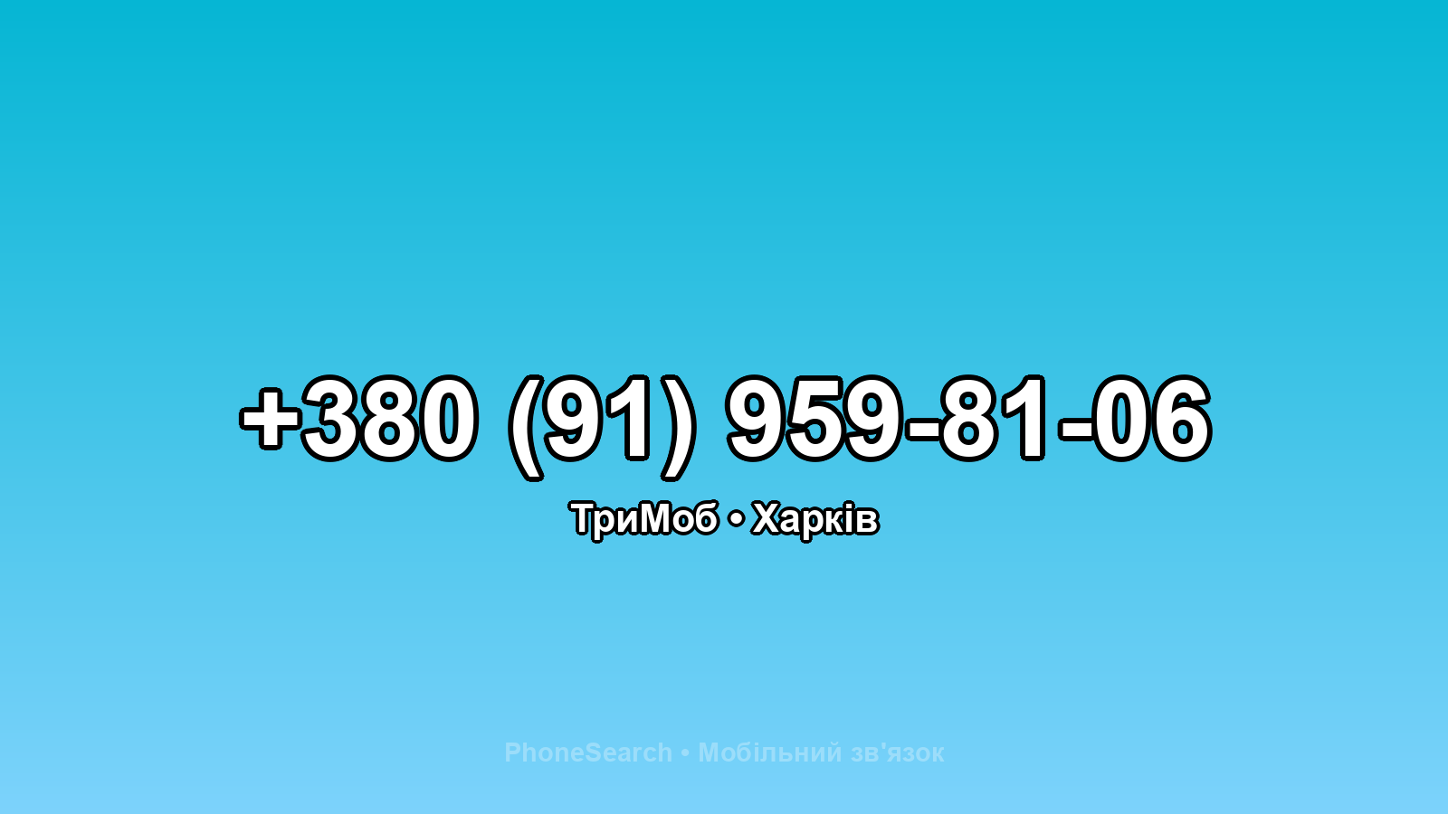 Номер +380 (91) 959-81-06 - вариант 2