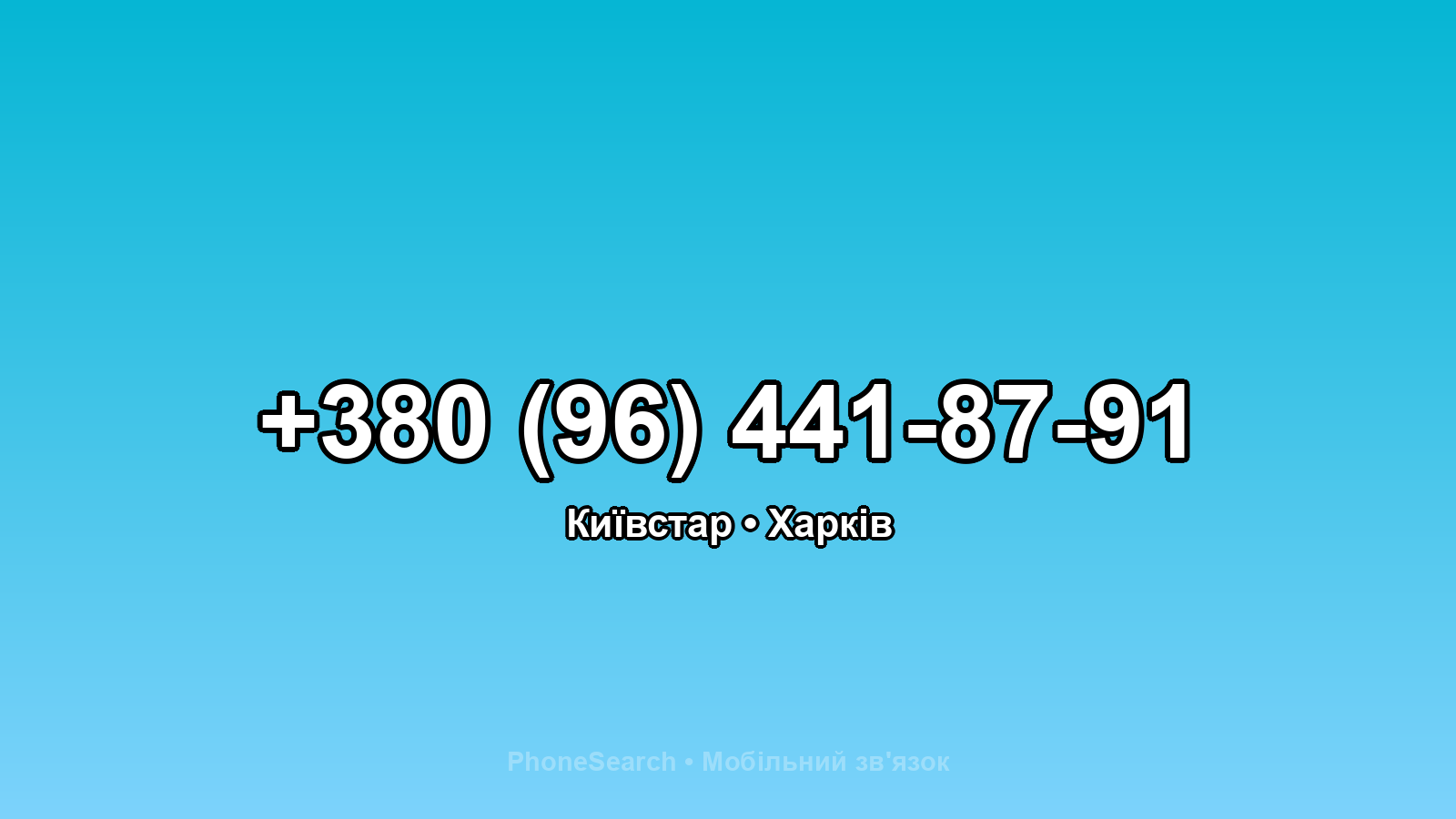 Номер +380 (96) 441-87-91 - вариант 2