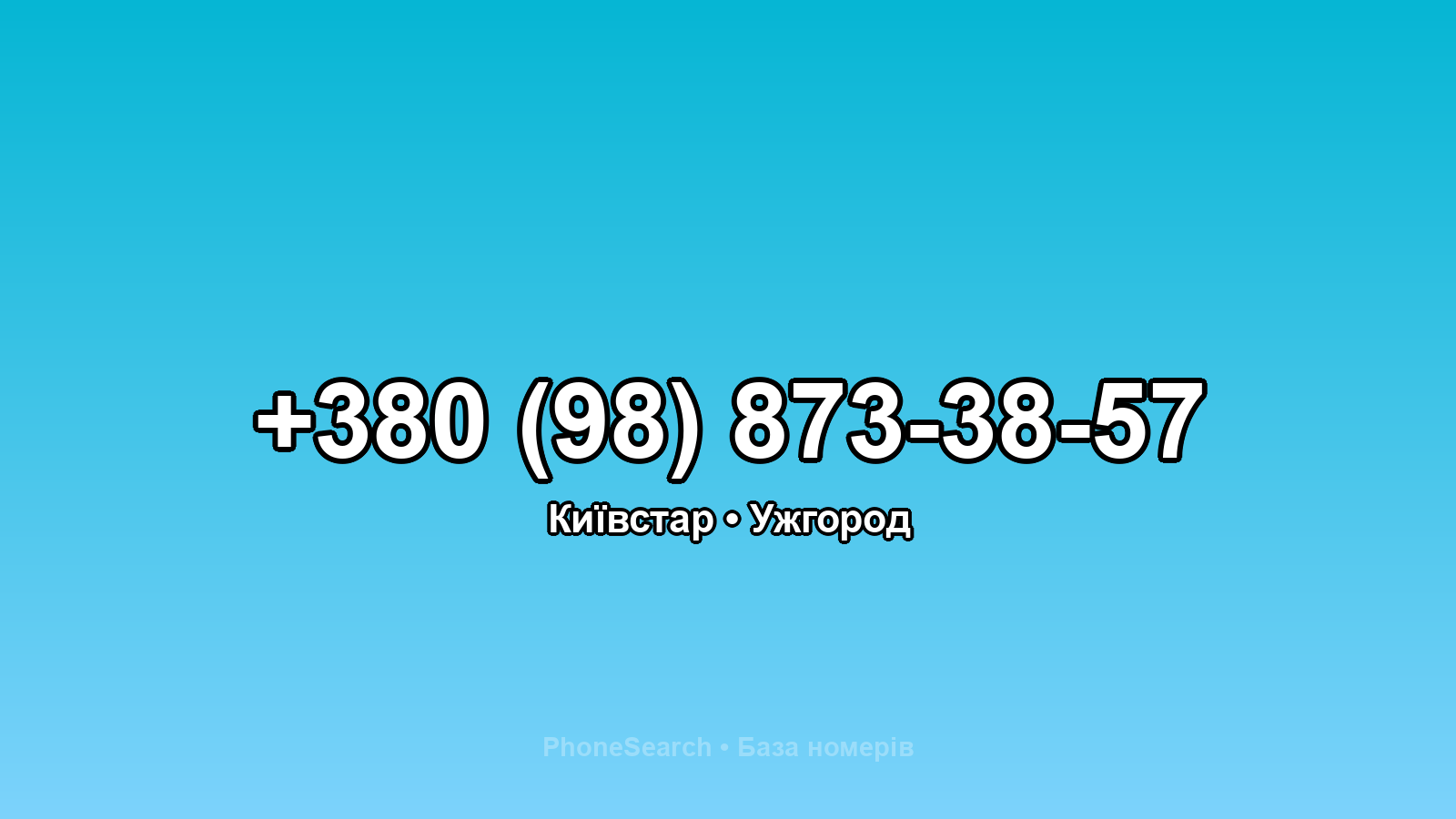 Номер +380 (98) 873-38-57 - вариант 2